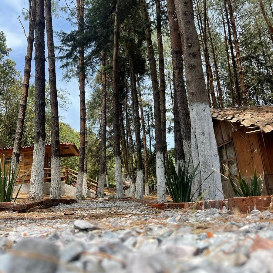 El Descanso Casa-Hotel Zacatlan. Eksteriør billede