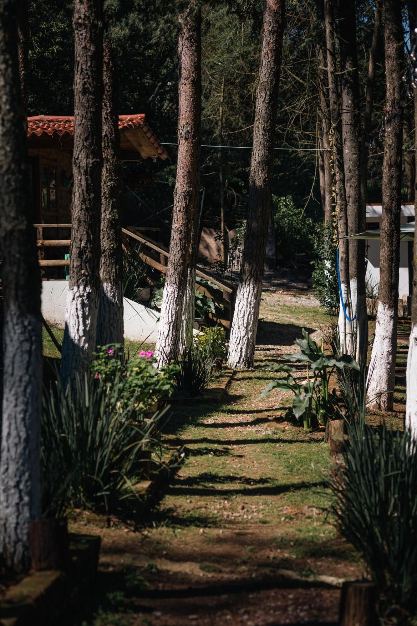 El Descanso Casa-Hotel Zacatlan. Eksteriør billede